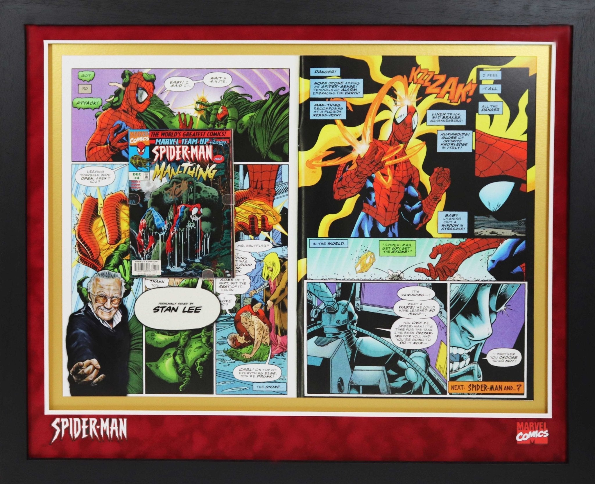 Spiderman Comic Signed by Stan Lee Framed Display - Memorabilia Framers Shop